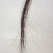 ヘアスタイルアーツ美容室の毛髪診断